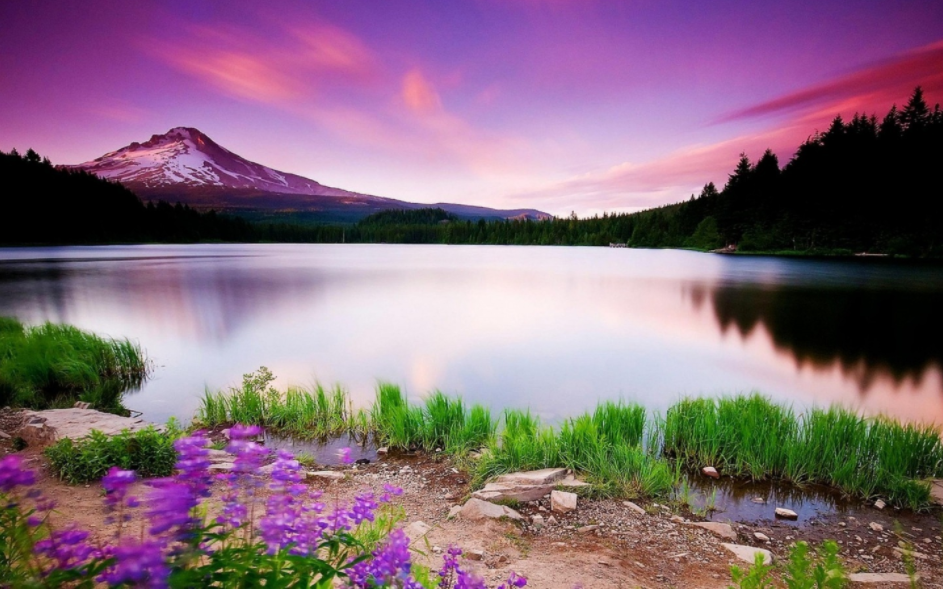 scenary image